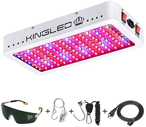 King Plus 1500W Double Chips LED Grow Light Full Spectrum for Greenhouse and Indoor Plant Flowering Growing (10w LEDs)