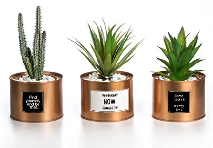Opps Mini Artificial Plants Plastic Green Grass Cactus with Special Golden Can Pot Design for Home Décor – Set of 3