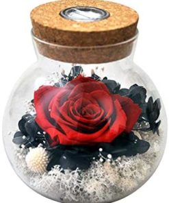 SANRAN Forever Rose, Preserved Eternal Real Flower Present Gorgeous Led Mood Light, Best Gift for Birthday, Anniversary, Valentine's Day, Christmas, Thanksgiving Day- (Skyfire