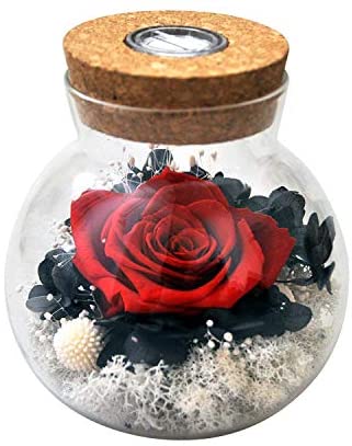 SANRAN Forever Rose, Preserved Eternal Real Flower Present Gorgeous Led Mood Light, Best Gift for Birthday, Anniversary, Valentine's Day, Christmas, Thanksgiving Day- (Skyfire